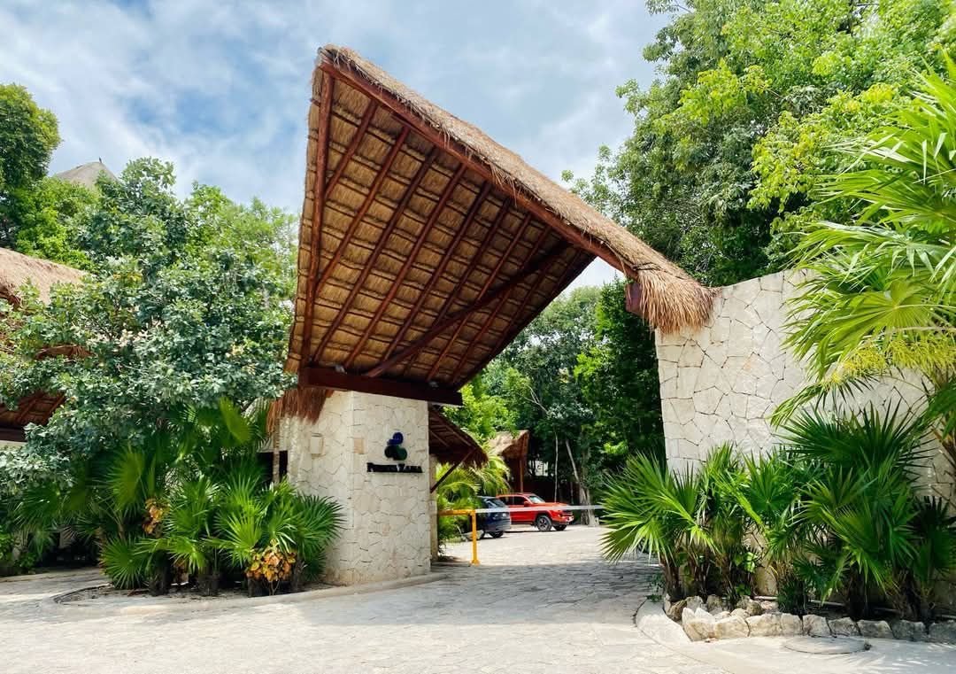 Palapa de palma junto a un acceso, rodeada de plantas