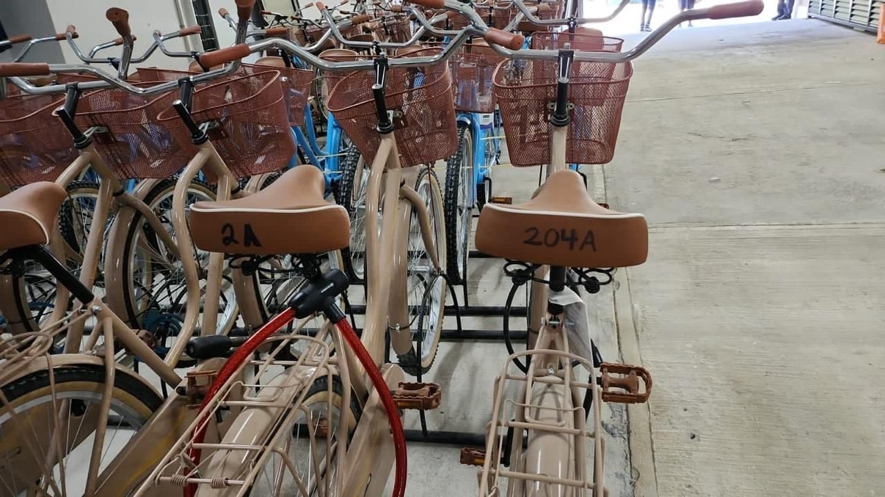Varias bicicletas juntas bajo un techo