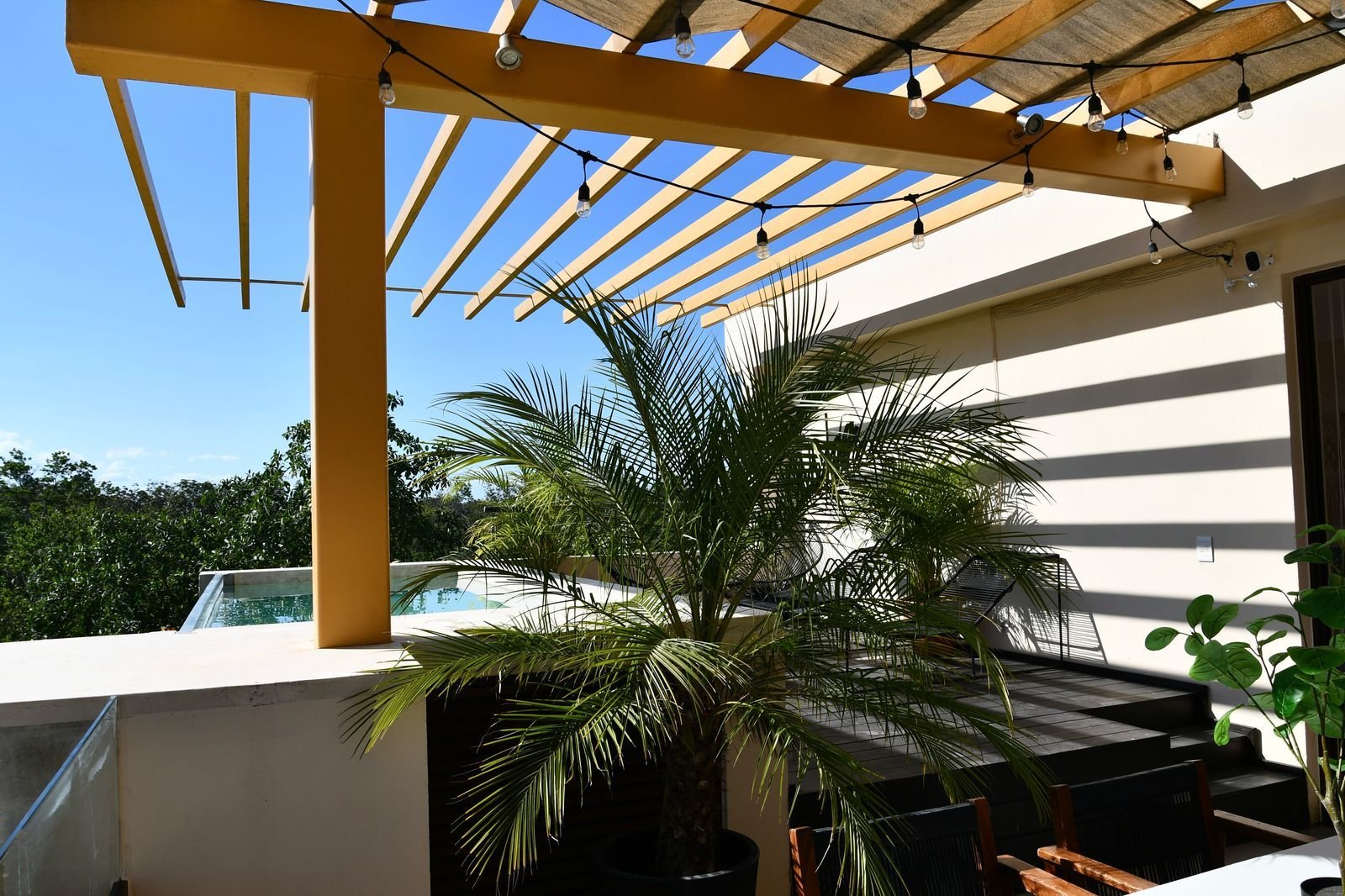 Terraza con pérgola, una palma y vista a la vegetación